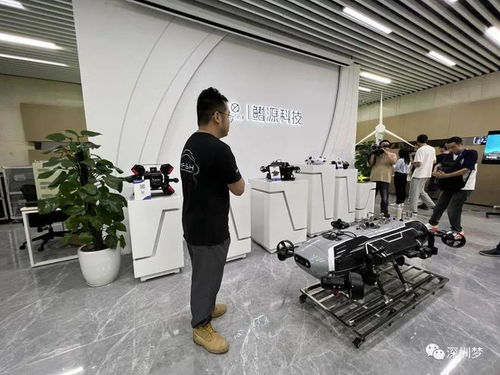 從深圳東部之巔到超級走廊 深圳又一條咖啡街火出圈了