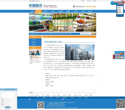 湘雪科技 網(wǎng)站建設(shè)