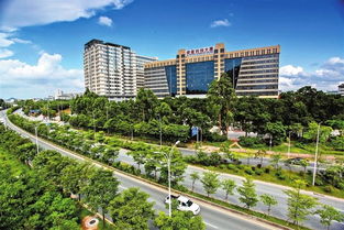 龍華區(qū)科技企業(yè)孵化器 建服務(wù)平臺助入駐企業(yè)謀發(fā)展