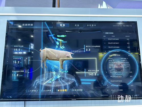 展 看數博, ai 意滿滿