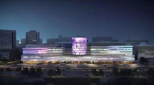 新華社 西城區加大 金科新區 建設力度