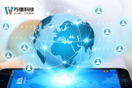 互聯網外包平臺 專業互聯網外包平臺怎么做 萬企新維科技公司