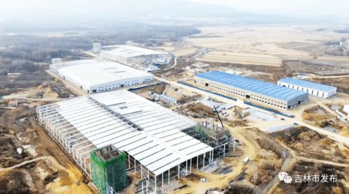 項目建設 中澤吉鐵鉬酸銨生產線試車成功